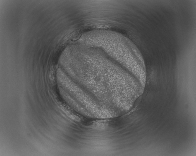 X0000076310078200610201624