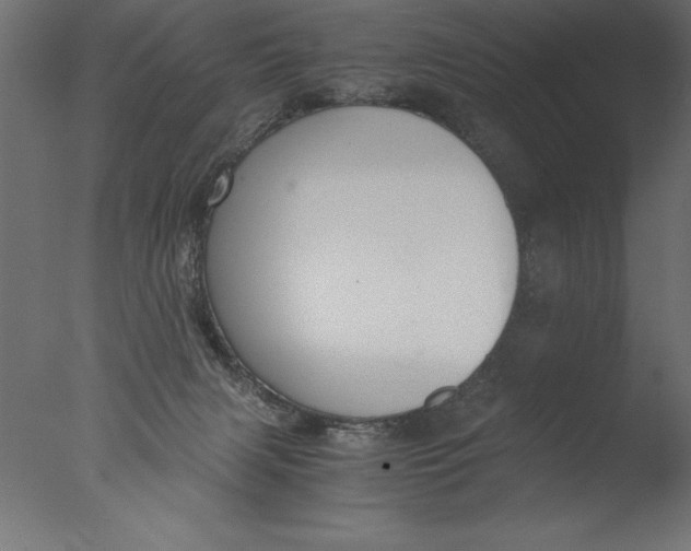 X0000076310079200610201624