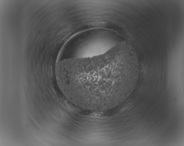 X0000076310080200610201624