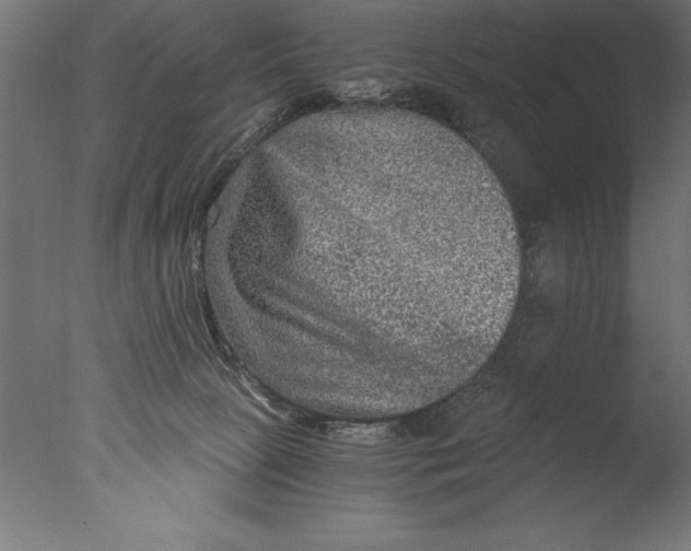 X0000076310081200610201624