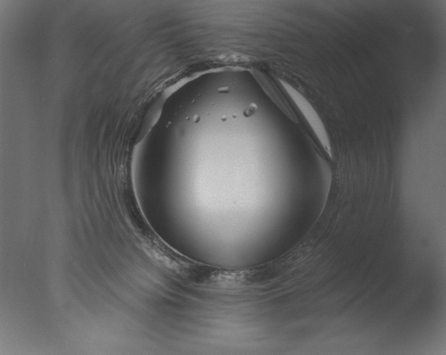 X0000076310084200610201624