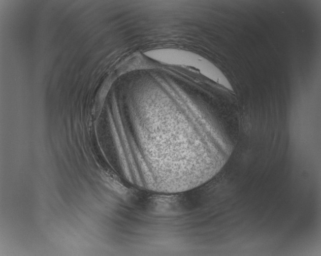 X0000076310085200610201624