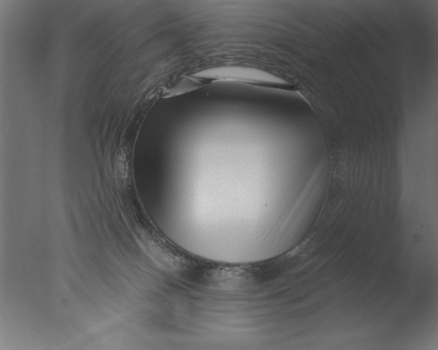 X0000076310086200610201624