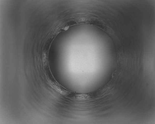 X0000076310087200610201624