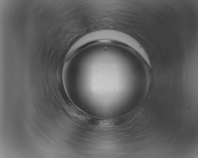 X0000076310088200610201624