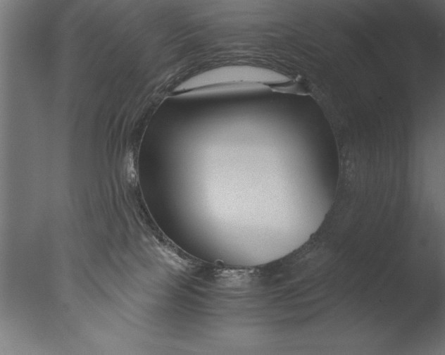 X0000076310089200610201624