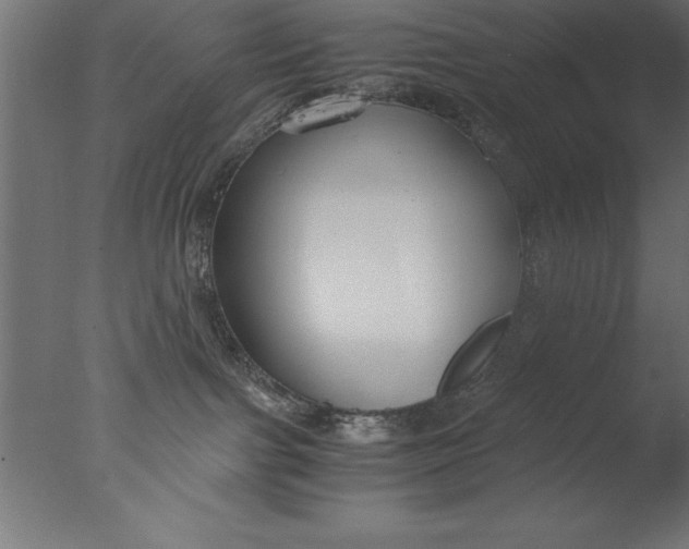 X0000076310091200610201624