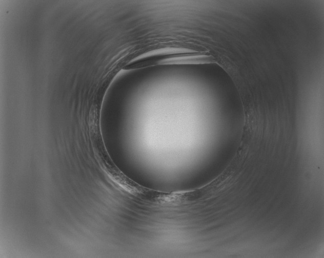 X0000076310092200610201624