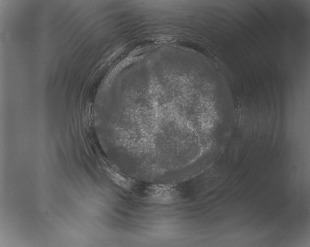 X0000076310093200610201624