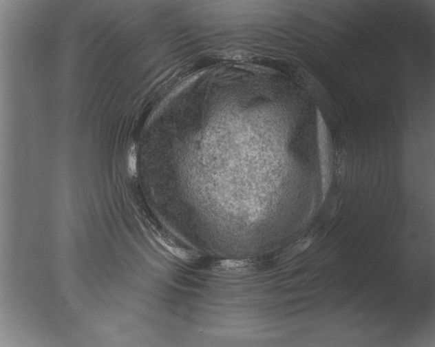 X0000076310095200610201624