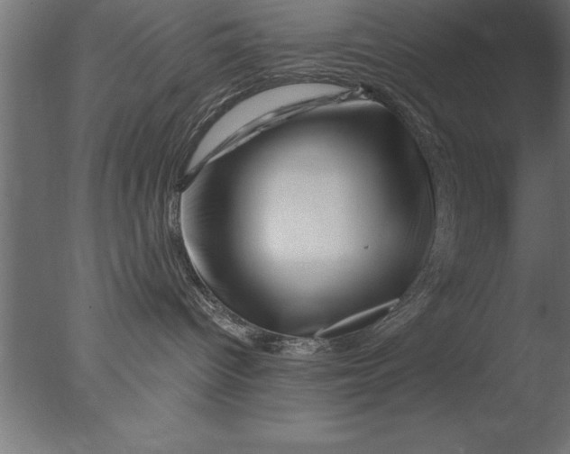 X0000076310096200610201624