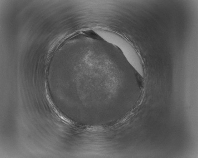 X0000076310097200610201623