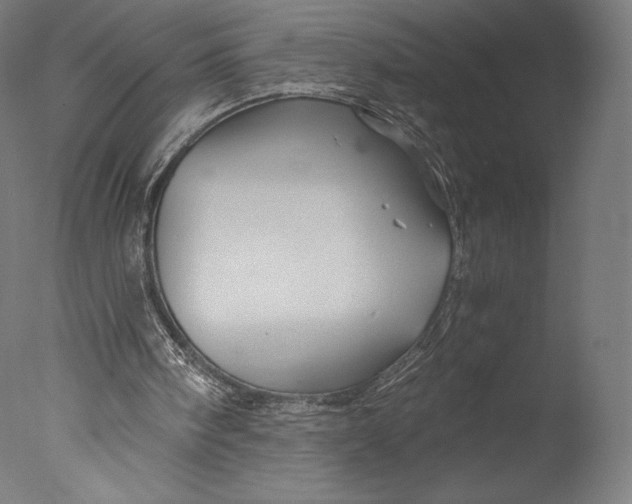 X0000076310098200610201623