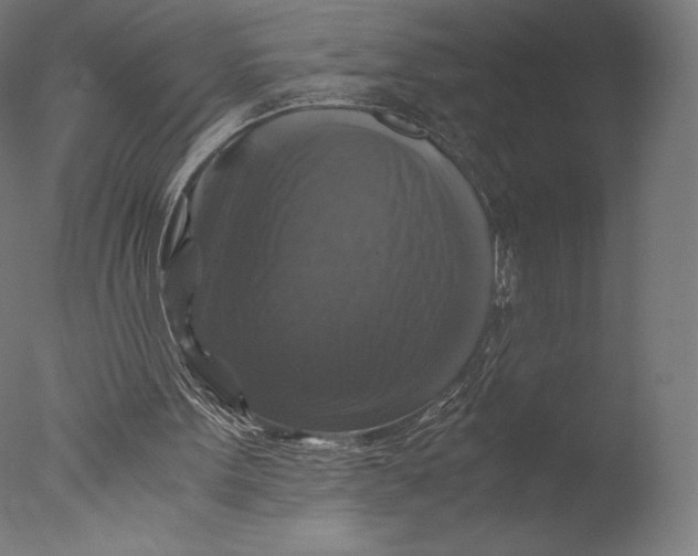 X0000076310099200610201623