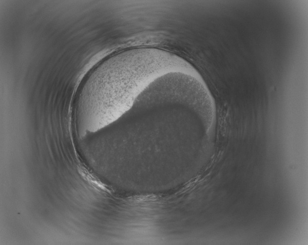 X0000076310100200610201623