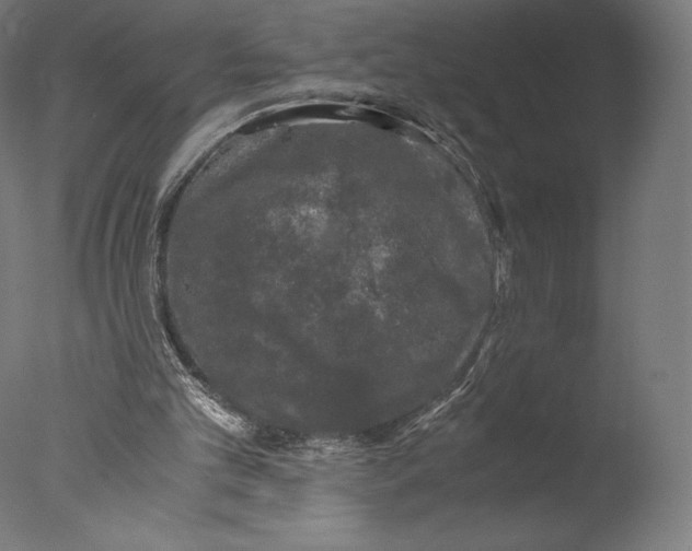 X0000076310101200610201623