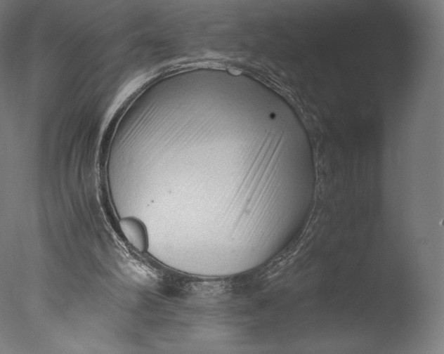 X0000076310102200610201623