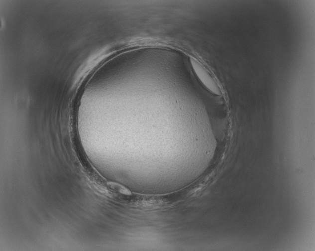 X0000076310103200610201623