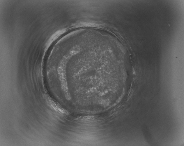 X0000076310104200610201623