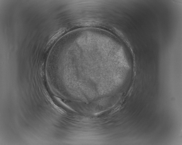 X0000076310105200610201623