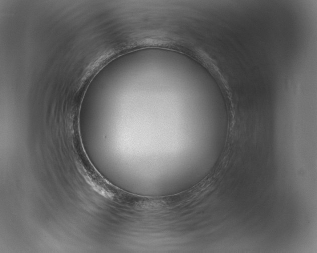 X0000076310106200610201623