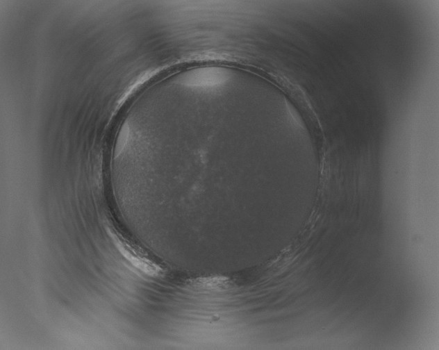 X0000076310108200610201623