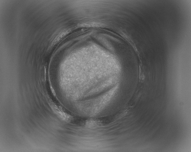 X0000076310109200610201623