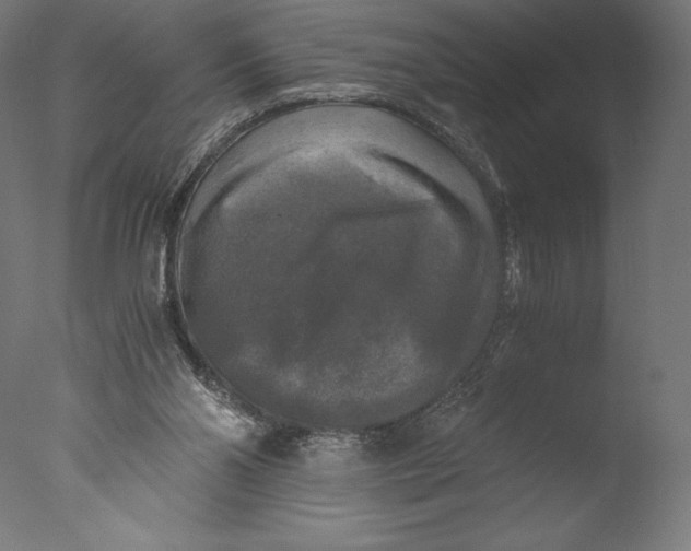 X0000076310110200610201623