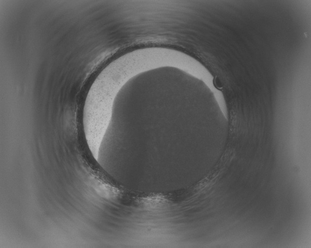 X0000076310112200610201623