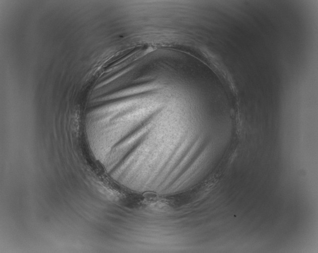 X0000076310113200610201623