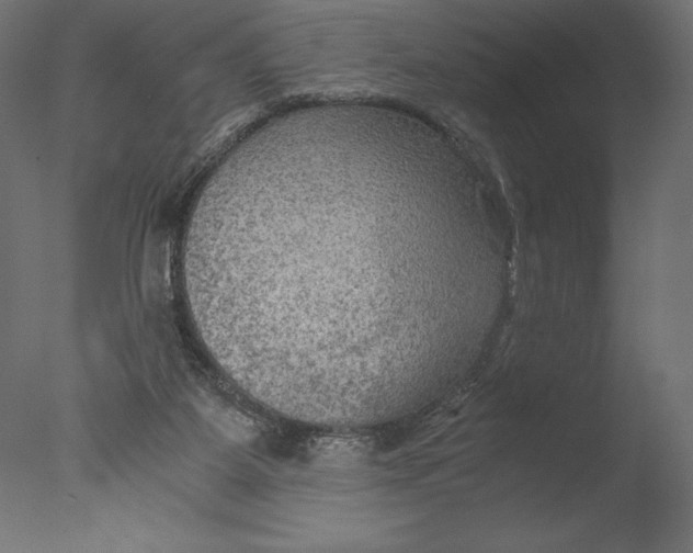 X0000076310115200610201623