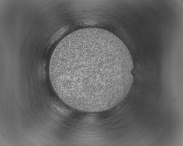 X0000076310116200610201623