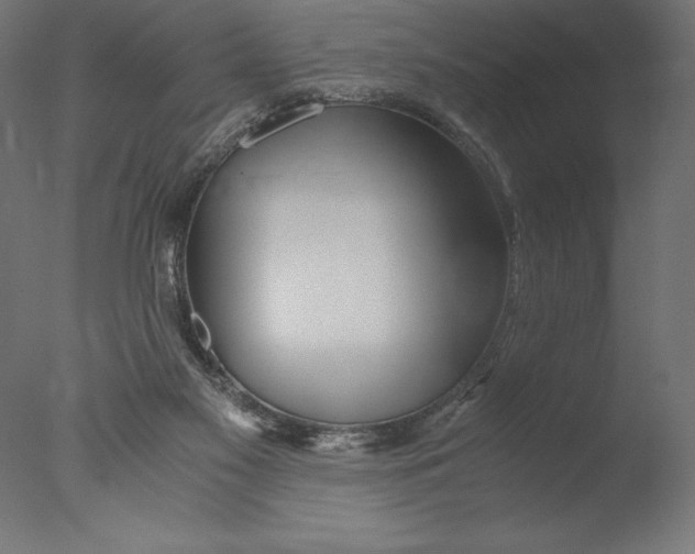 X0000076310117200610201623