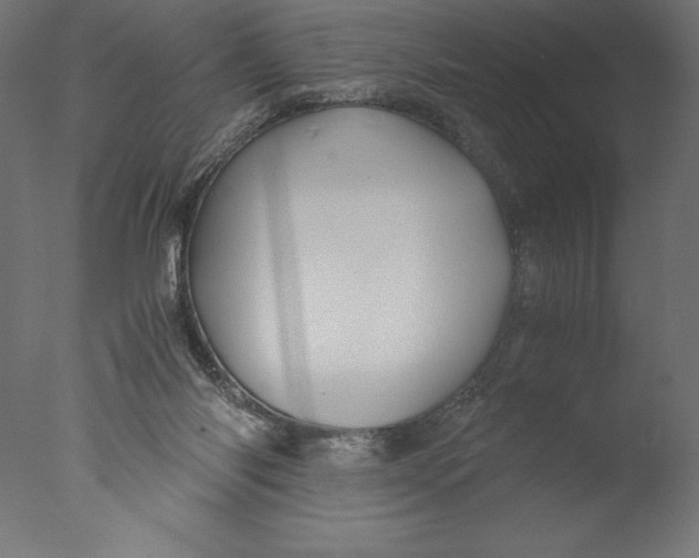 X0000076310118200610201623