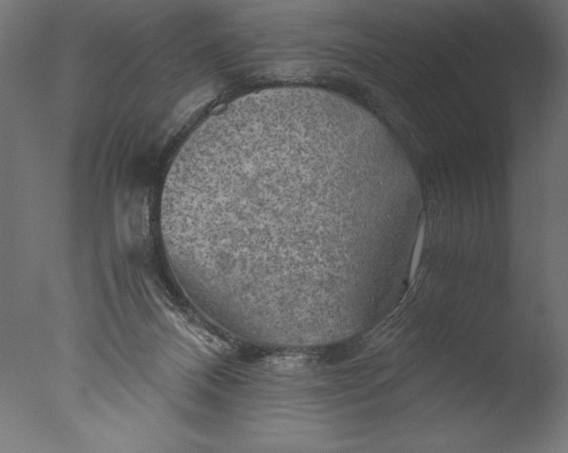 X0000076310120200610201623