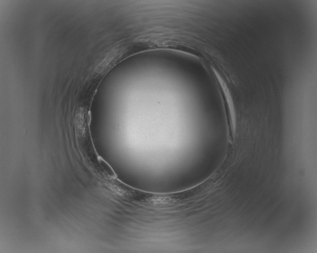 X0000076310121200610201623