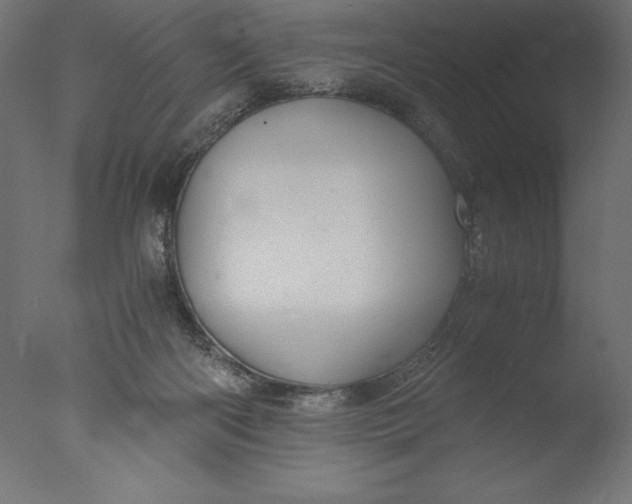 X0000076310122200610201623