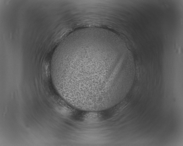 X0000076310123200610201623