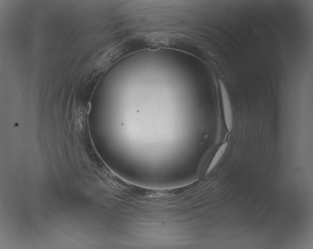 X0000076310125200610201623