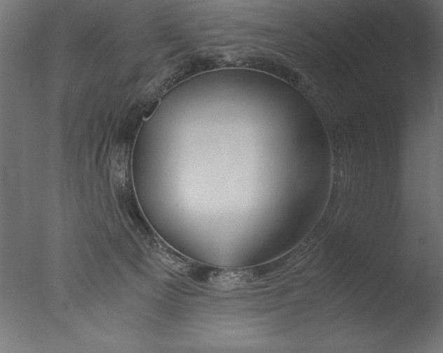 X0000076310129200610201622