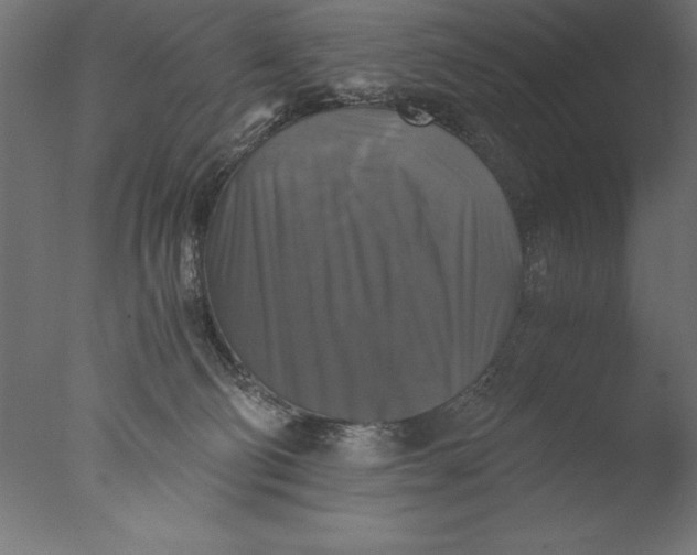 X0000076310130200610201622