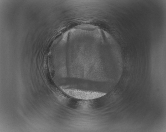 X0000076310131200610201622