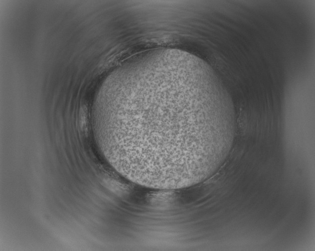 X0000076310132200610201622