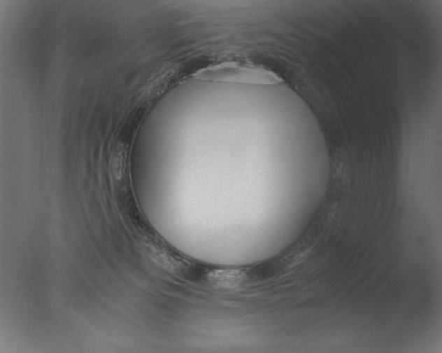 X0000076310133200610201622