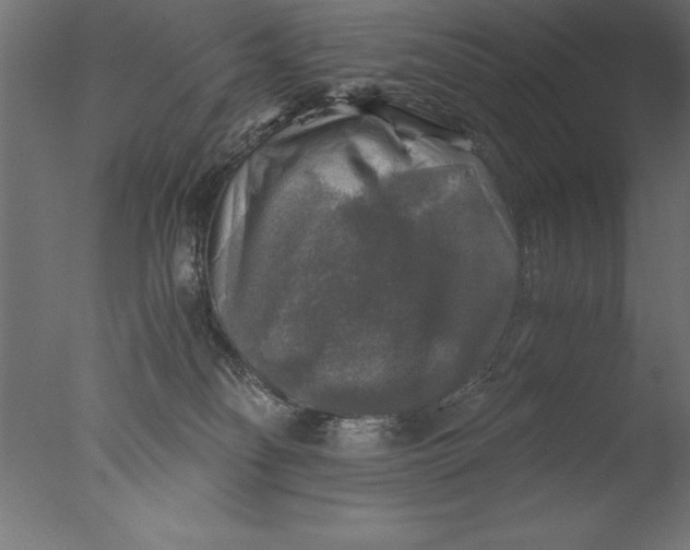 X0000076310134200610201622