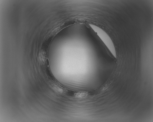 X0000076310135200610201622