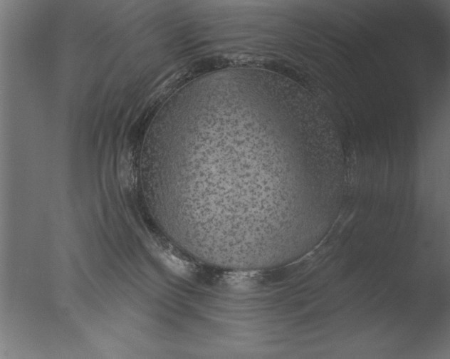 X0000076310136200610201622