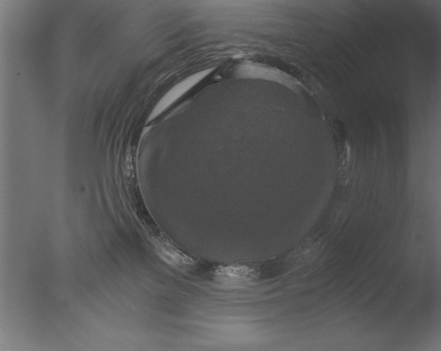 X0000076310137200610201622