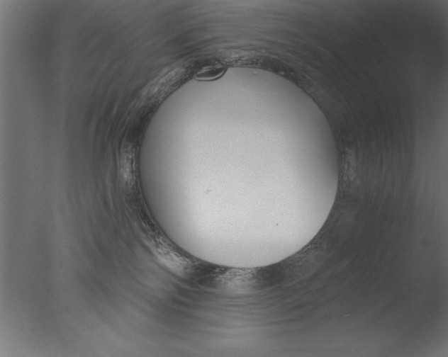 X0000076310138200610201622