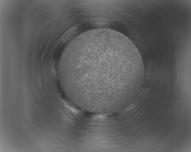 X0000076310140200610201622